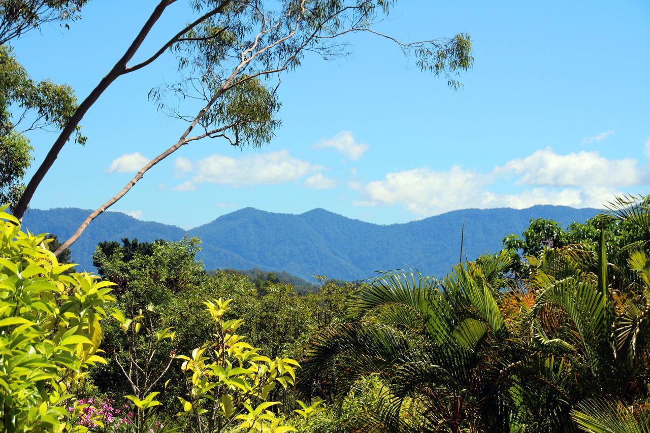 Bed and Breakfast Bella Vista Bellingen Exterior foto