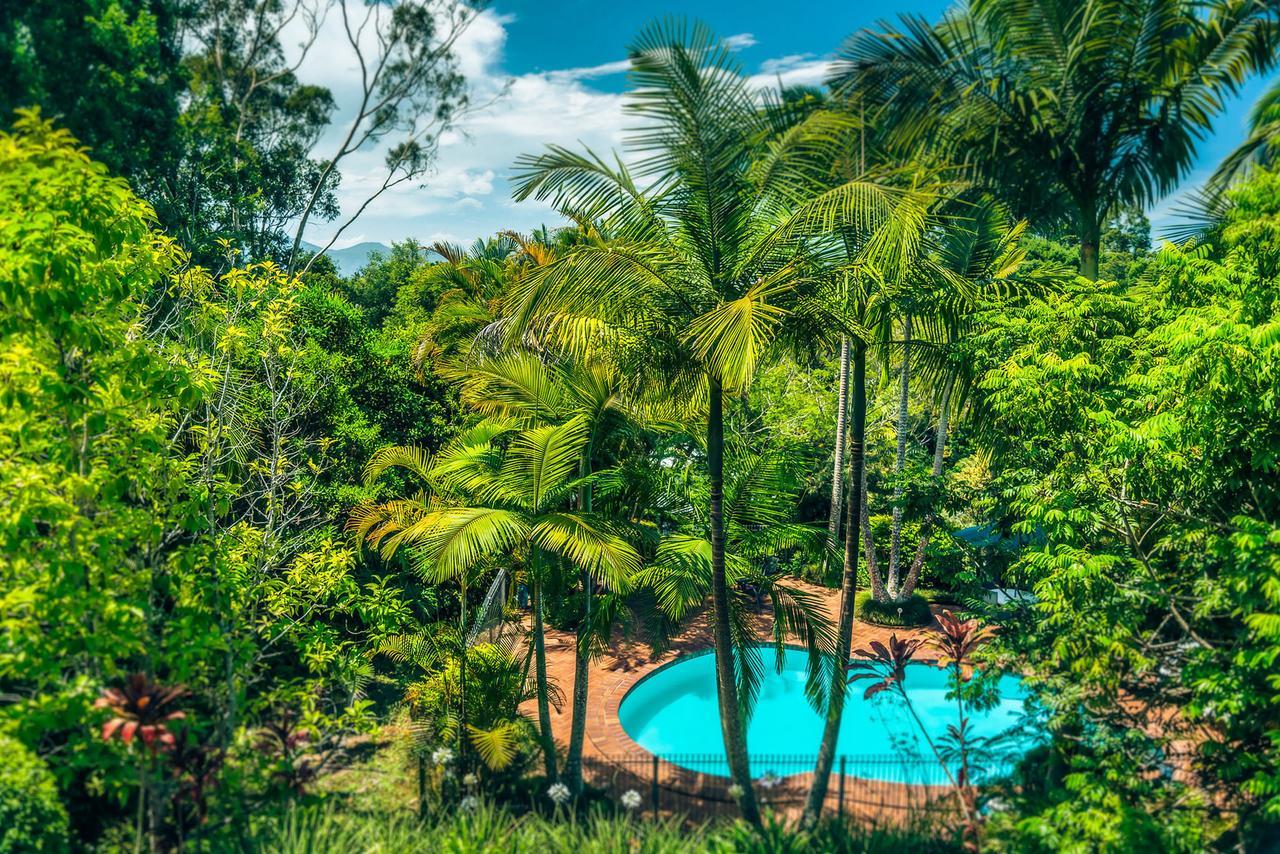 Bed and Breakfast Bella Vista Bellingen Exterior foto